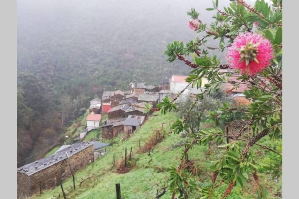 Casa Do Avo Alvaro - Refugio Do Rei Casal do Rei  Ngoại thất bức ảnh